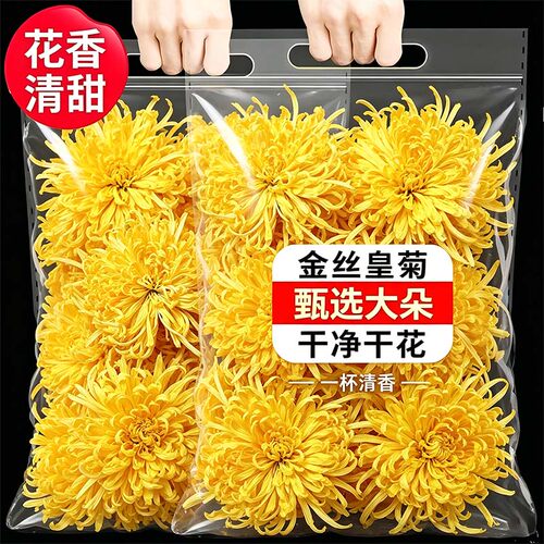 金丝皇菊菊花茶一杯一朵黄菊官方旗舰店大菊花下火清火茶叶泡水喝