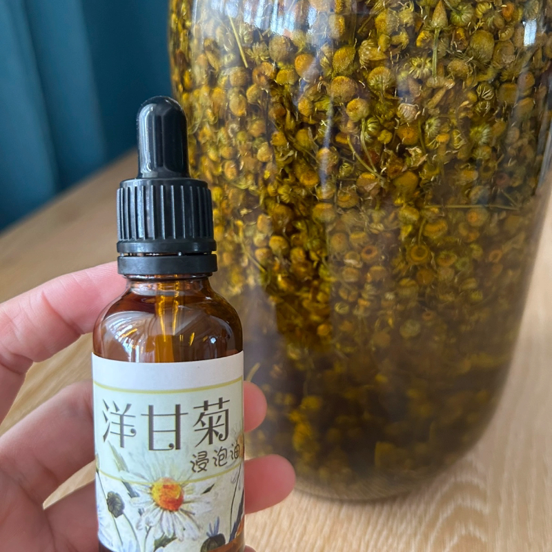 【洋甘菊浸泡油】天然植物芳香纯单方精油