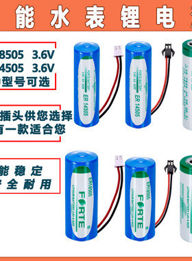 适用FORTE孚特ER18505 14505 智能水表暖气热力表流量计烟雾报警器3.6V锂电池