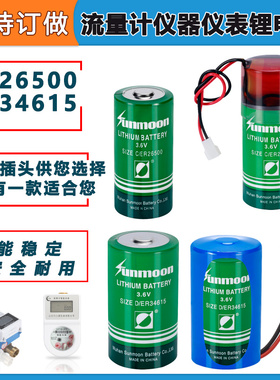 流量计量表ER26500 34615锂电池智能水表压力表物联网瀚兴日月可订做 C型2号 D型1号3.6V 7.2V电池组
