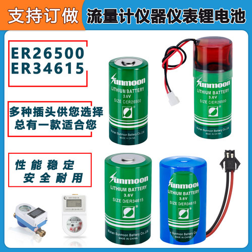 流量计量表ER2650034615锂电池