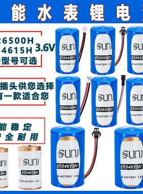 双洎SUNJ智能水表流量计电池1号C型 ER26500H/1号D型 ER34615H物联网 3.6V锂电池