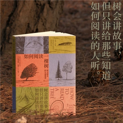 【官方正版】如何阅读一棵树:探寻树木的生命密语文津奖得主 揭秘树木生长的原理及普遍特征的自然科普读物 学生课外阅读书籍SSWH
