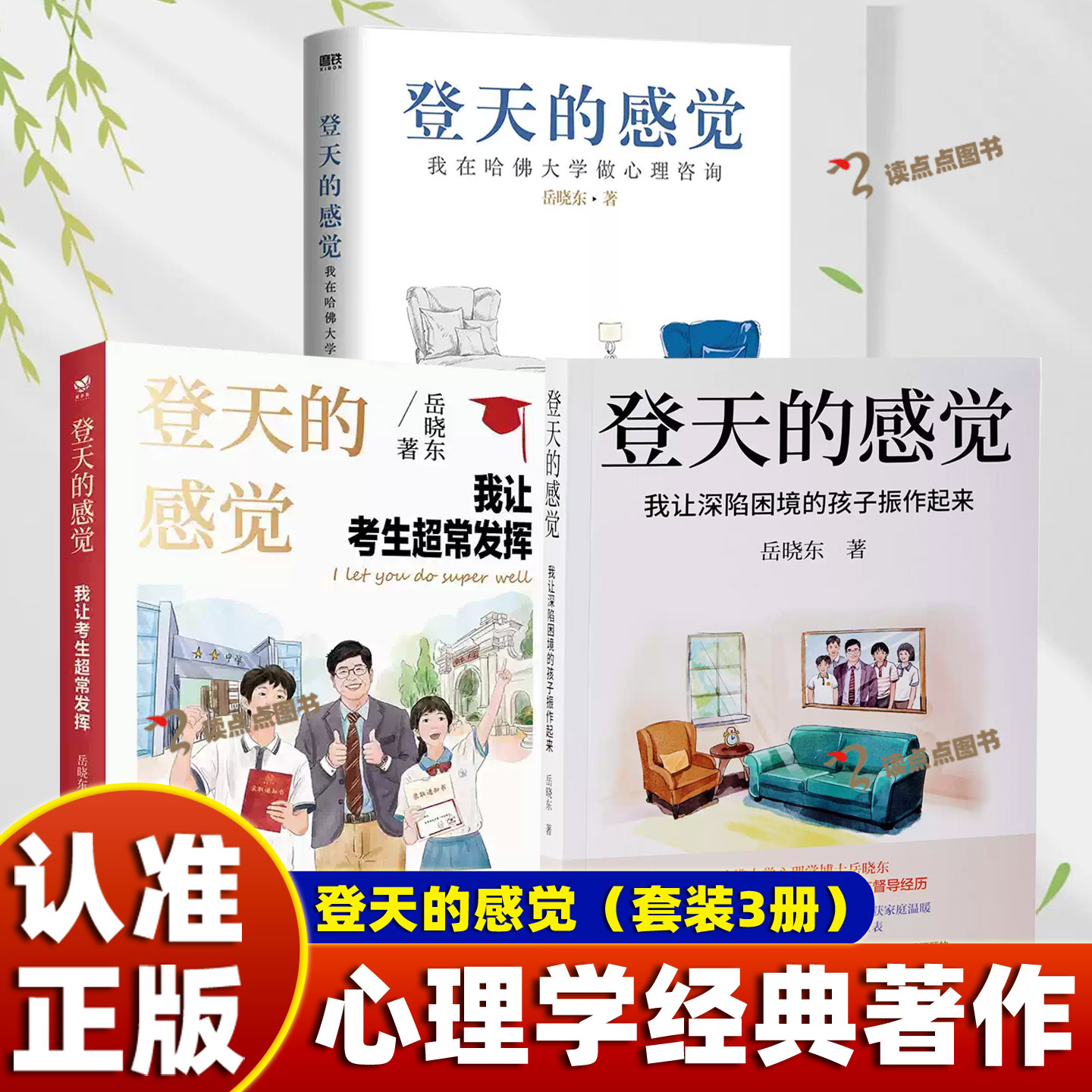 【认准正版】岳晓东2026新书 登天的感觉我让考生超常发挥 我让深陷困境的孩子振作起来让孩子摆脱焦虑青少年心理学教育书SS