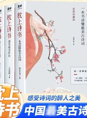 全4册枕上诗书正版枕上诗书一诗一词一故事诗词赋中国诗词大会飞花令里读唐诗宋词元曲一本书读懂浪漫古诗词诗经仓央嘉措诗传KBCT