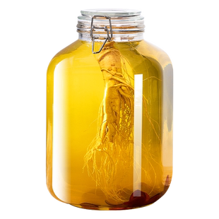 泡酒玻璃瓶高档密封酒坛子人参鹿茸存药酒专用瓶装酒容器空瓶酒罐
