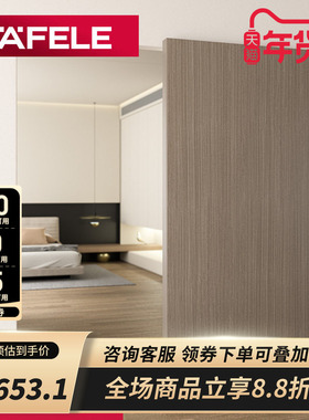 德国海福乐HAFELE进口木制推拉门单扇全隐藏式移门吊轮幽灵门滑轮