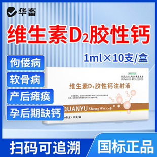 华畜兽药维生素d2注射剂维丁胶性钙针剂兽用猪牛羊产后瘫痪软骨症