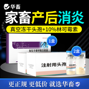 华畜兽药氟尼辛葡甲胺头孢注释液猪牛羊产后消炎关节肿退烧镇痛