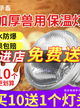 华畜保温灯养殖场专用小鸡猪用取暖灯泡小仔猪兽用猪场保暖加热灯