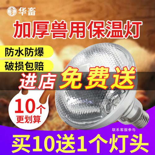 【买10送1灯口】保温灯养殖场用