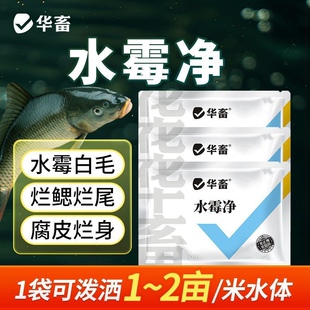 水霉净水产养殖水霉清烂身烂尾腐皮烂甲白毛鱼塘消毒杀菌硫醚沙星