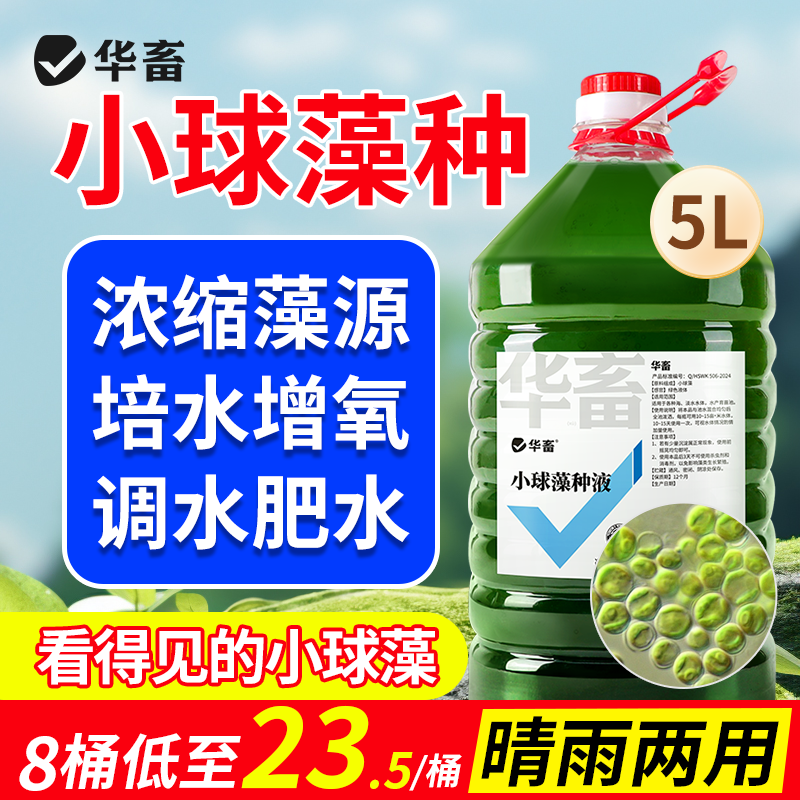 华畜小球藻藻种培养基浓缩复合绿水藻种肥水淡水培藻水产养殖专用