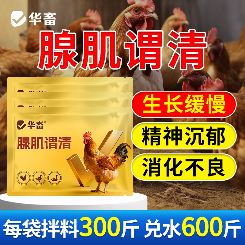 华畜腺肌胃清胃炎鸡药鸡鸭鹅鸽子拉稀拉白便腺胃康腺胃素调理肠胃