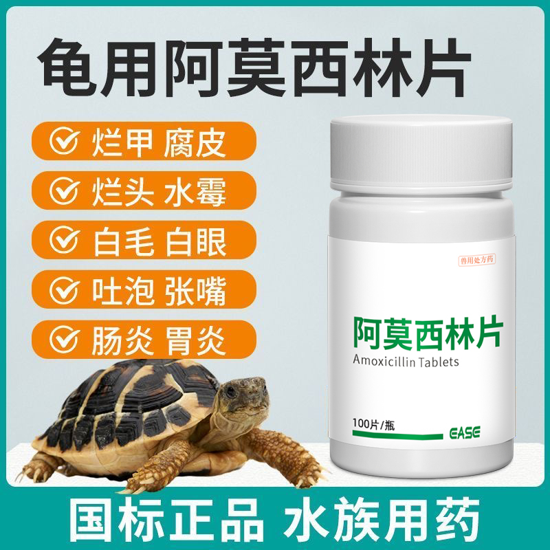 华畜龟用阿莫西林片土霉素乌龟消炎药白眼肺炎电解多维腐皮专用药
