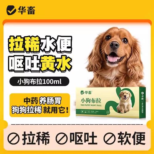 宠物猫咪狗狗拉肚子便血腹泻软便黏膜果冻便肠胃炎拉稀吐黄水