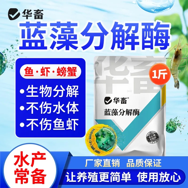 华畜蓝藻分解酶水产养殖蓝藻克星