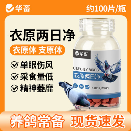 DB华畜赛鸽衣原两日净信鸽单眼伤风鸽病支原体鼻水眼睛红肿流泪