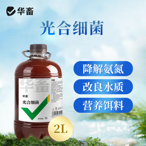 华畜光合细菌水产养殖鱼虾蟹
