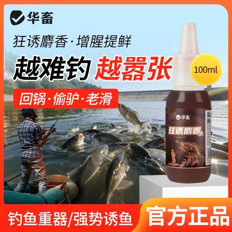 DB华畜高浓度麝香中药酒钓鱼小药黑坑野钓通用鲫鱼草鱼鲤鳊鱼诱鱼,宠物/宠物食品及用品,观赏鱼饲料,淘宝优惠券,粉丝福利购,淘宝优惠卷