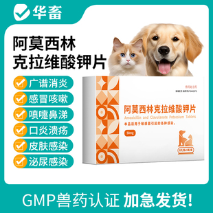 华畜狗狗阿莫西林克拉维酸钾片猫咪感冒药猫鼻支咳嗽打喷嚏流鼻涕