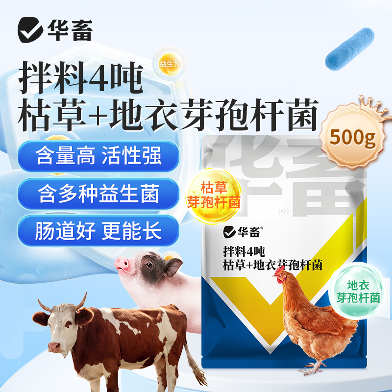 華畜獸用益生菌維生素益生素豬牛羊雞芽孢桿菌促長開口飼料添加劑