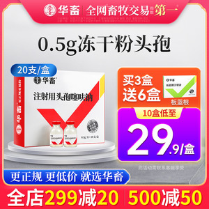 华畜兽药头孢噻呋钠兽用注射用液正品鱼腥草黄芪猪牛羊针剂消炎药