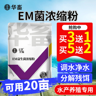 华畜EM菌浓缩粉水产养殖益生菌种