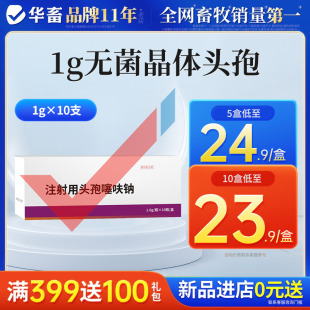 华畜兽用注射头孢噻呋钠猪牛羊消炎药速溶头孢粉抗菌养殖场用
