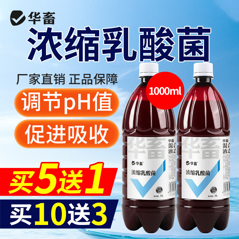 华畜浓缩乳酸菌水产养殖专用菌种鱼塘虾蟹塘鱼缸水族净水调节肠道,宠物/宠物食品及用品,其他益生菌,淘宝优惠券,粉丝福利购,淘宝优惠卷