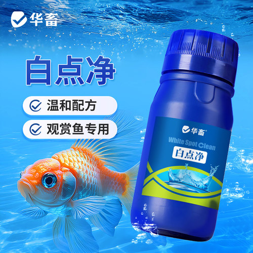 华畜白点净水族鱼缸水质调节观赏鱼入缸必备