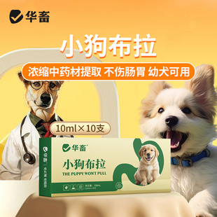狗狗猫咪拉稀止泻肠胃腹泻呕吐幼犬拉肚子金银花中药口服液软便