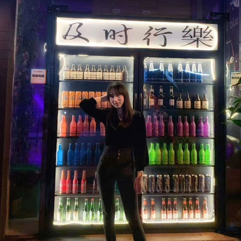 网红门隐形门创意门冰箱门