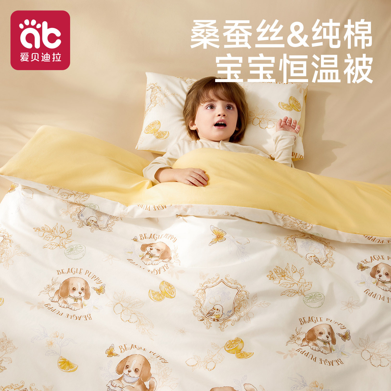 婴儿专用小被子纯棉a类母婴级桑蚕丝棉被幼儿园儿童冬季加厚盖被
