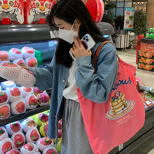 日系布袋小众刺绣手提袋