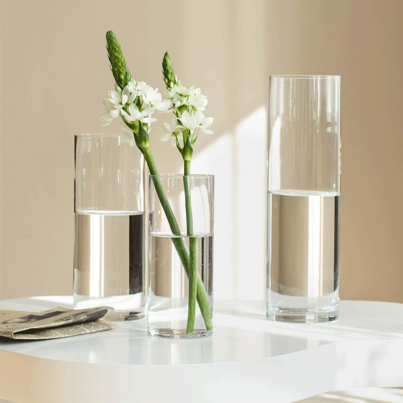 花瓶摆件客厅插花玻璃高级感透明水养马醉木富贵竹雪柳直筒花器高