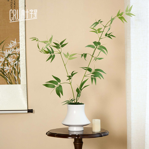 竹子盆栽植物客厅室内四季常青