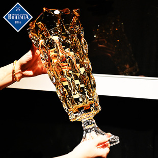 捷克进口水晶玻璃彩色透明高档轻奢客厅茶几水养培装饰摆件大花瓶