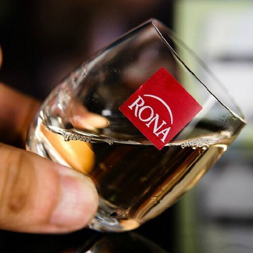 rona捷克进口水晶一口杯