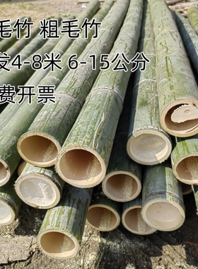 粗毛竹长圆竹楠竹老毛竹三米四米五米六米长竹竿装修搭架造型竹杆
