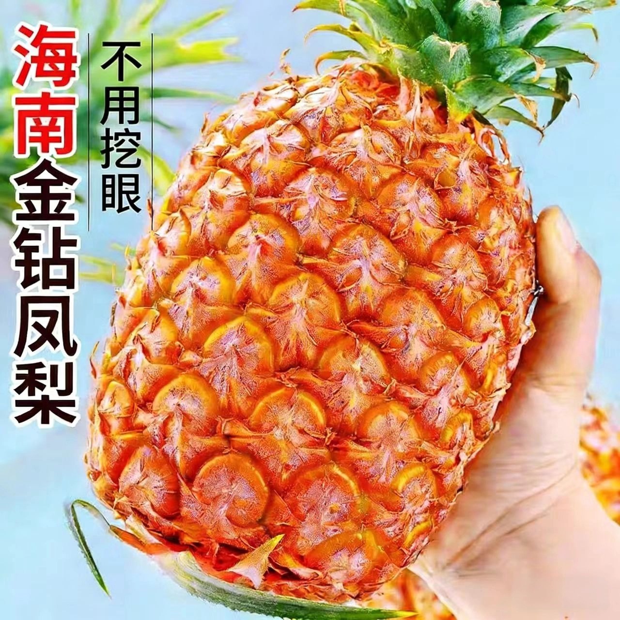 海南金钻凤梨现摘产地直发5斤超甜新鲜水果树熟台农17号手撕菠萝,水产肉类/新鲜蔬果/熟食,凤梨,淘宝优惠券,粉丝福利购,淘宝优惠卷