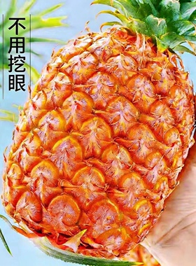 海南金钻凤梨现摘产地直发5斤超甜新鲜水果树熟台农17号手撕菠萝
