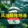 Fengyoujing старомодный подлинный Fengyoujing в больших бутылках и бочках освежающее прохладное масло для мытья посуды туалетная вода чистящее средство% mini 3