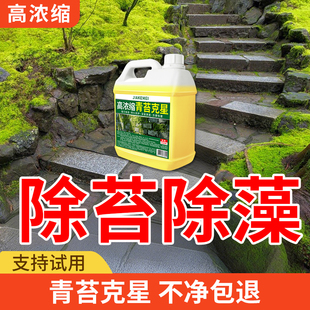 青苔清除剂水泥地面专用青苔去除剂青苔克星苔藓藻类青苔清洁剂