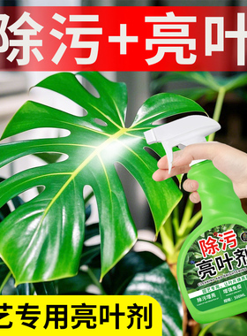 除污亮叶剂叶片除污一喷净植物叶面光亮清洁洗剂免稀释叶面肥料の
