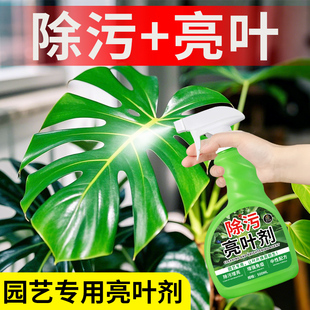 除污亮叶剂叶片除污一喷净植物叶面光亮清洁洗剂免稀释叶面肥料の