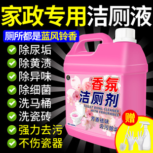 香氛洁厕剂强力除垢除臭洁厕灵液卫生间马桶清洁剂洁厕净除尿垢$