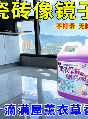 薰衣草香地板清洁剂瓷砖抑菌拖地沫强力去污专用清洗液除垢拖地液