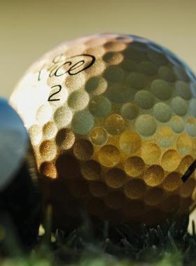 代购Vice Golf 限量版 Pro Plus 高尔夫球四层110+专业远距离球1