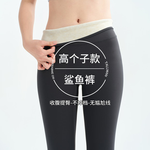 羊毛蚕丝鲨鱼裤女士高腰收腹外穿秋冬加绒加厚保暖打底芭比瑜伽裤